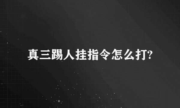 真三踢人挂指令怎么打?