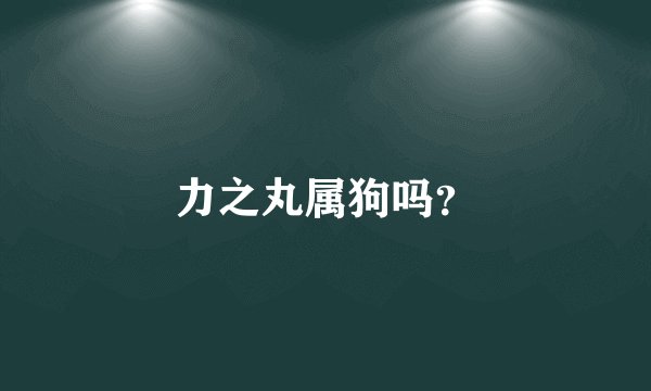 力之丸属狗吗？