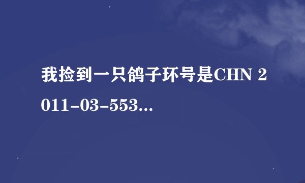 我捡到一只鸽子环号是CHN 2011-03-553377请问是哪的