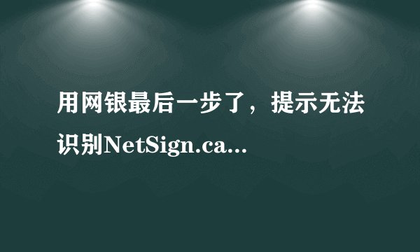 用网银最后一步了，提示无法识别NetSign.cab，说阻止了。结果不能支付了