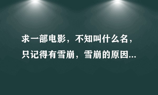 求一部电影，不知叫什么名，只记得有雪崩，雪崩的原因是因为犯罪分子为了争钻石而导致飞机撞到雪山。