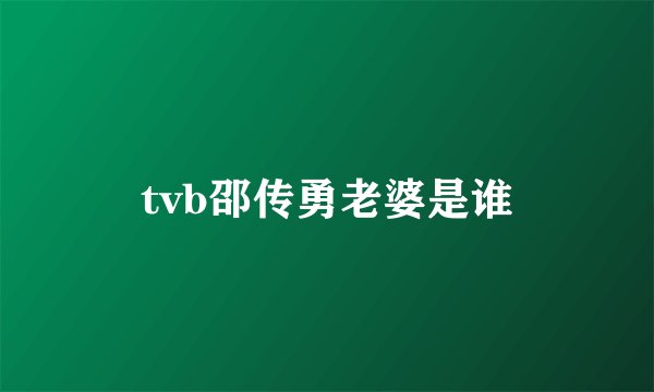 tvb邵传勇老婆是谁