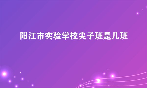 阳江市实验学校尖子班是几班