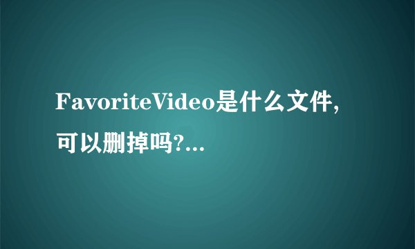 FavoriteVideo是什么文件,可以删掉吗??有没坏处??