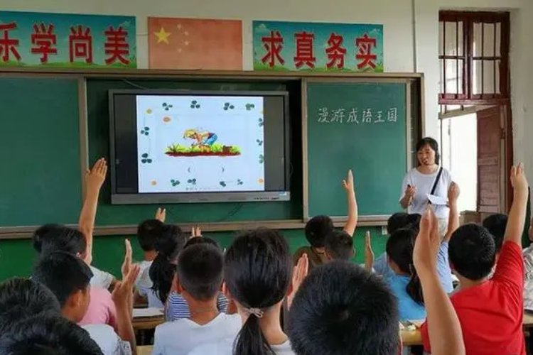 焦心如焚打一个生肖