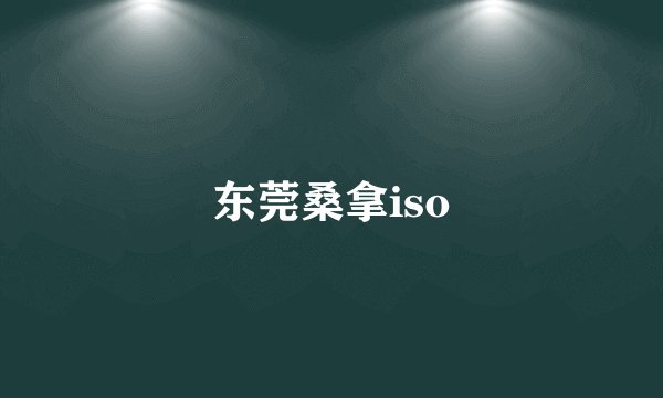 东莞桑拿iso