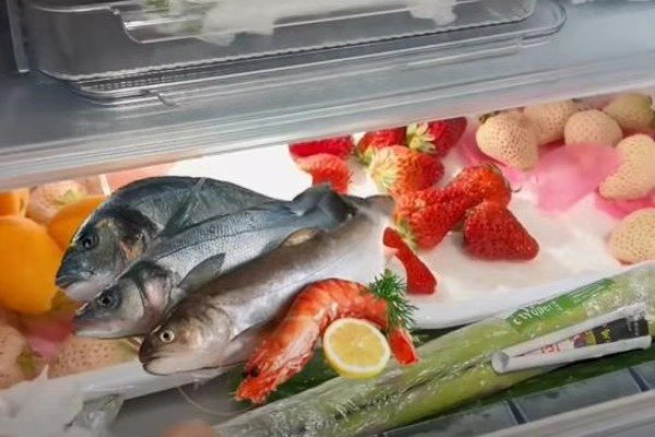 上海女子晒大冰箱花6分钟数完物资，16天没下楼，她是如何度过封控期的？