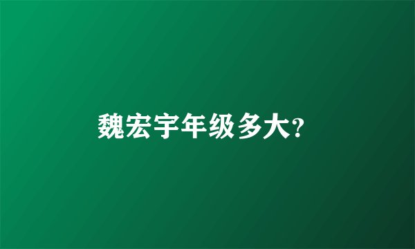 魏宏宇年级多大？