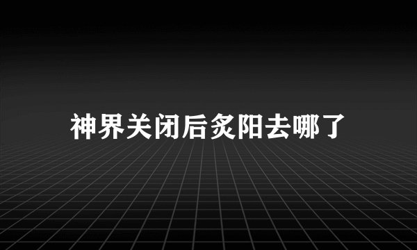 神界关闭后炙阳去哪了