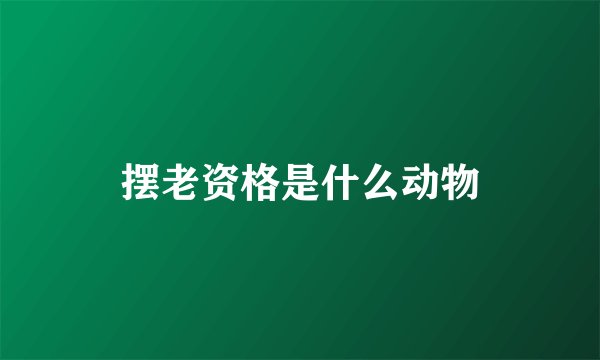 摆老资格是什么动物