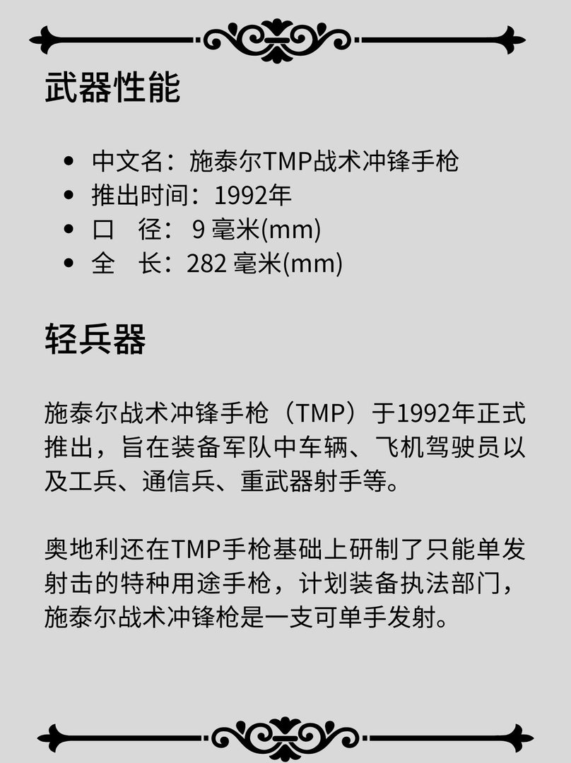 施泰尔TMP战术冲锋手枪