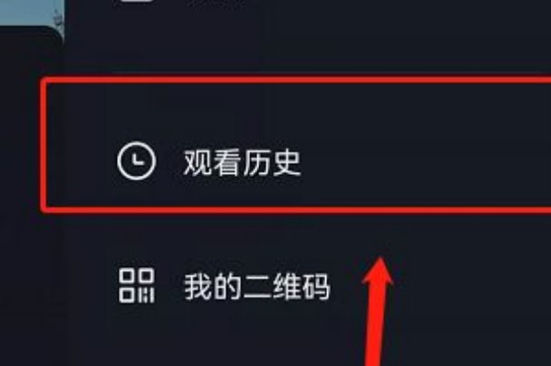 怎样找到观看历史