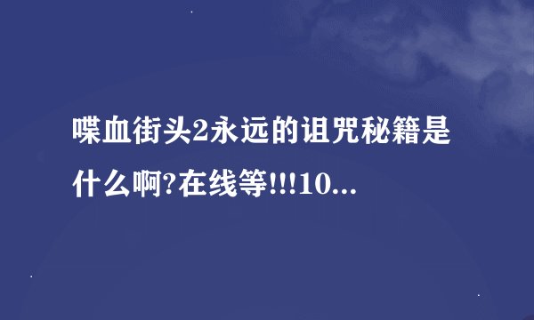 喋血街头2永远的诅咒秘籍是什么啊?在线等!!!100分!!!