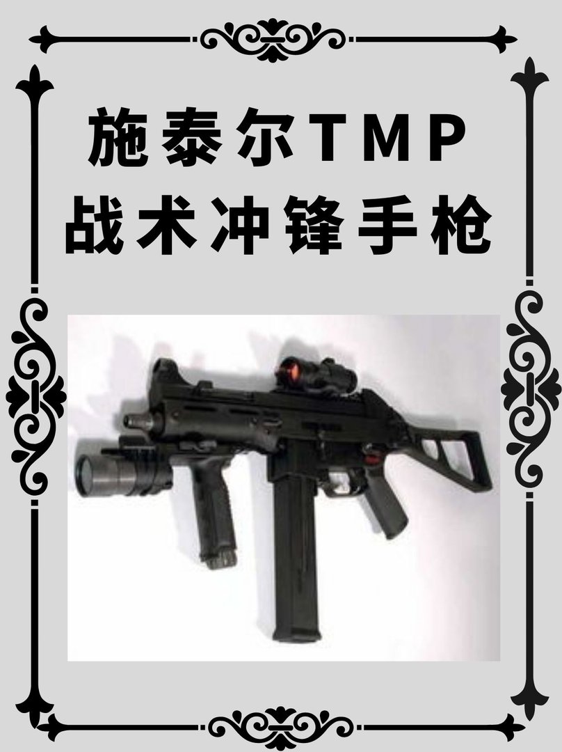 施泰尔TMP战术冲锋手枪