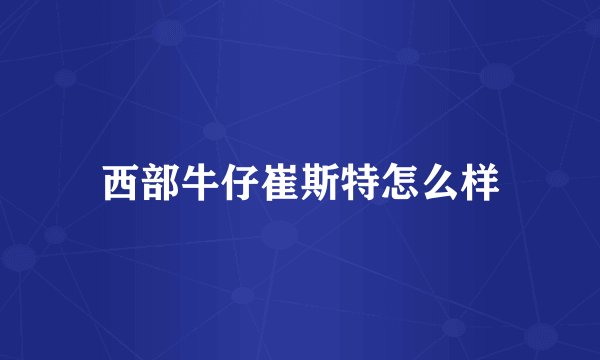 西部牛仔崔斯特怎么样