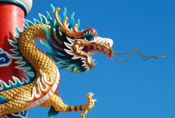 曲高和寡打一正确生肖