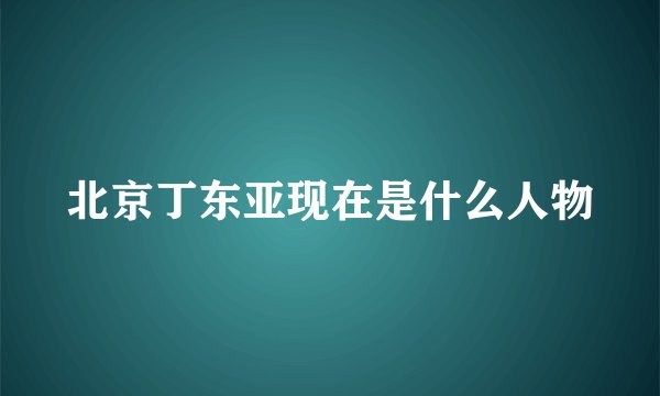 北京丁东亚现在是什么人物