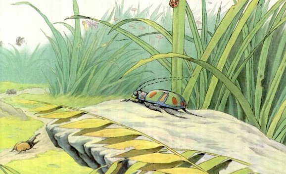 《草虫的部落》作者描写了那些虫子