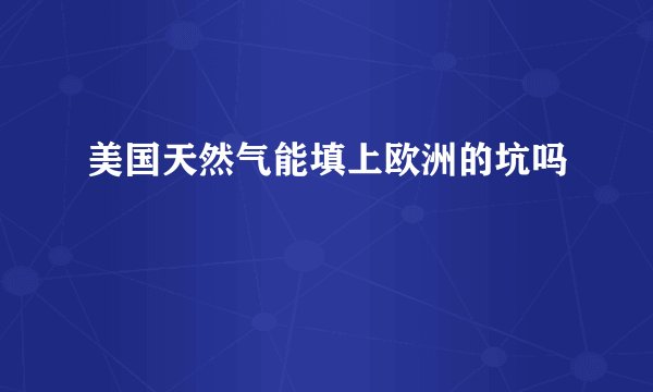 美国天然气能填上欧洲的坑吗