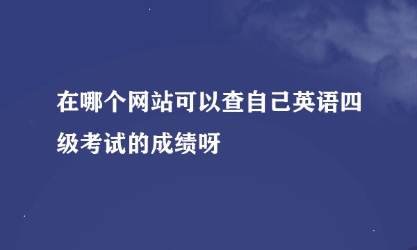 在哪个网站可以查自己英语四级考试的成绩呀
