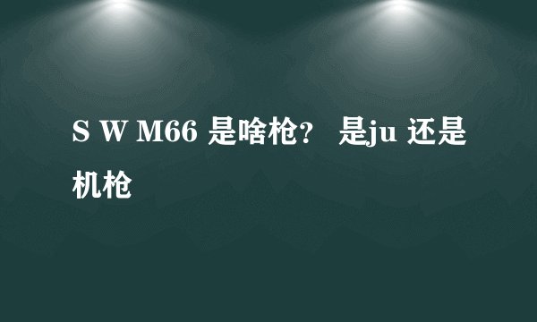 S W M66 是啥枪？ 是ju 还是机枪