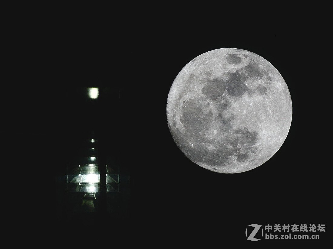 月光论坛的经过