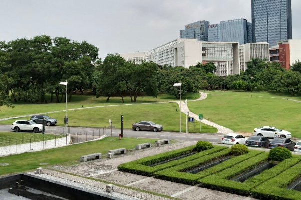 彭禹繁读什么大学