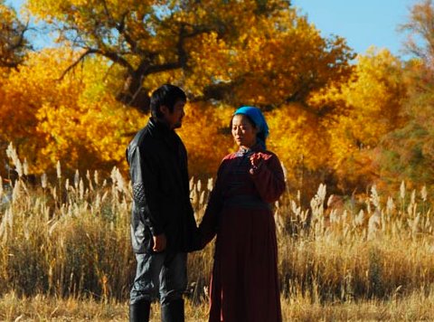 胡杨女人剧情介绍