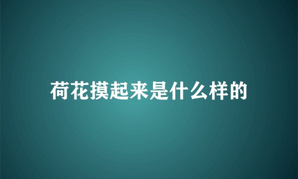 荷花摸起来是什么样的