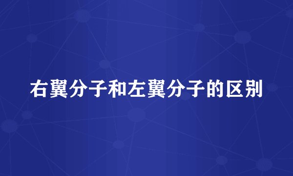 右翼分子和左翼分子的区别