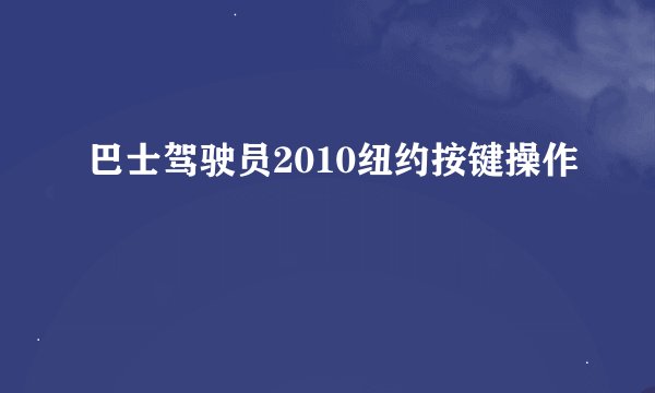 巴士驾驶员2010纽约按键操作