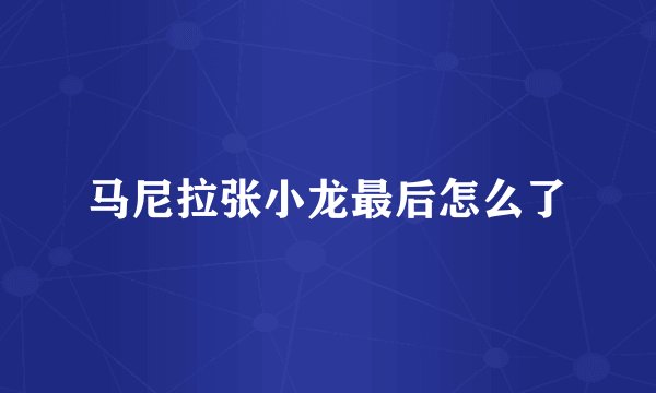 马尼拉张小龙最后怎么了