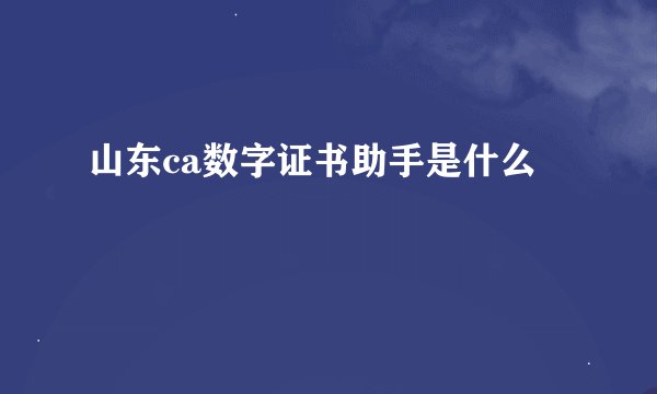 山东ca数字证书助手是什么