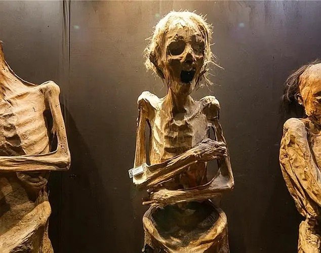 毛骨悚然打一生肖？