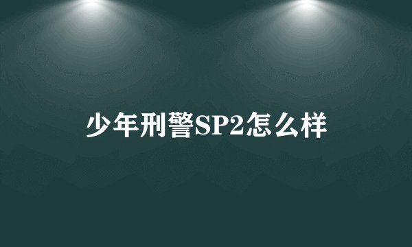 少年刑警SP2怎么样