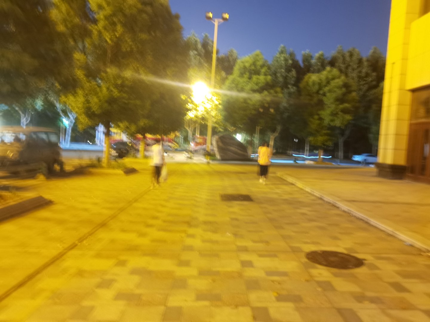 英语English Resume怎么翻译？