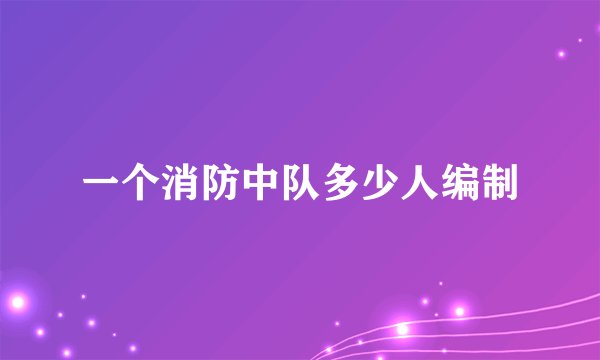 一个消防中队多少人编制