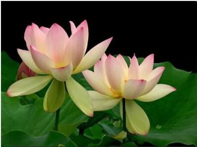 很也很造句，一年级的