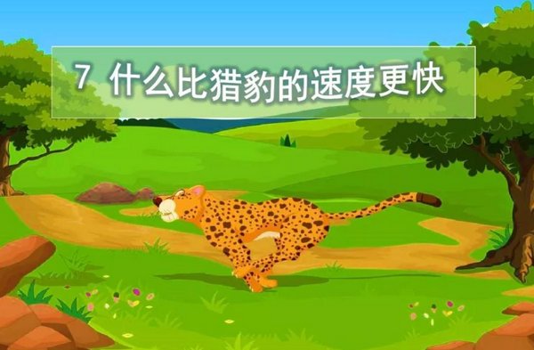 《什么比猎豹的速度更快》的作者是谁？