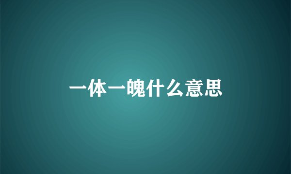一体一魄什么意思