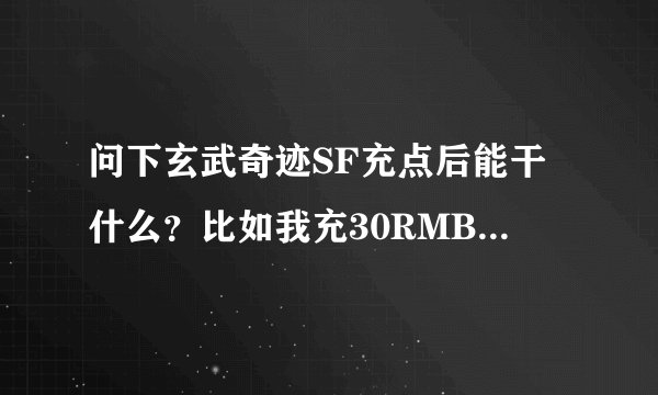 问下玄武奇迹SF充点后能干什么？比如我充30RMB后换的300点能干什么