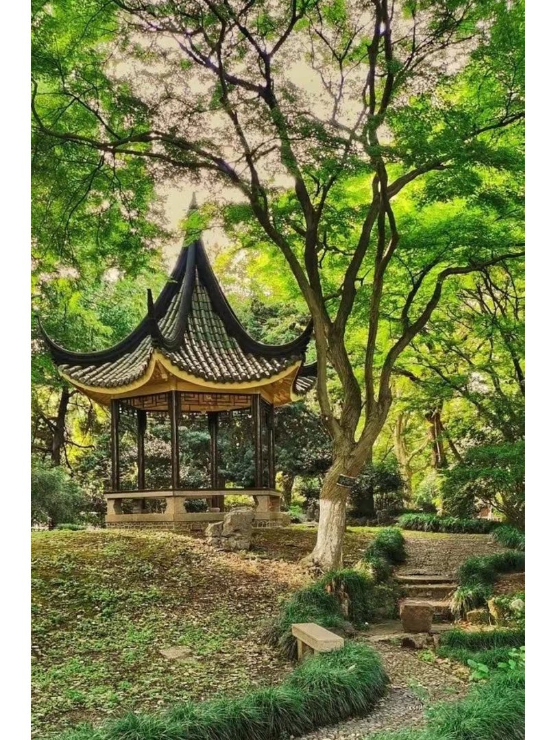 5比1等于多少分数？