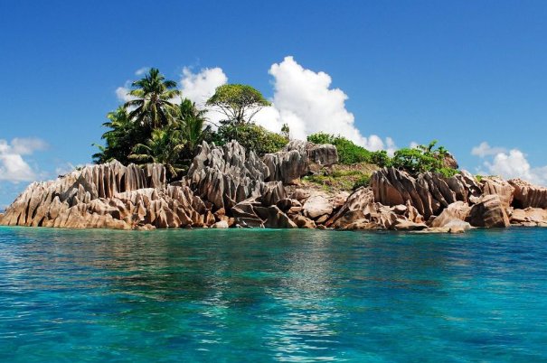 西奈是什么意思