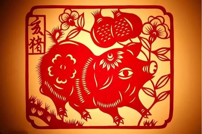 十二生肖里动物有那些是四目相对