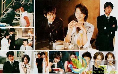 恋爱结婚法则的剧情简介