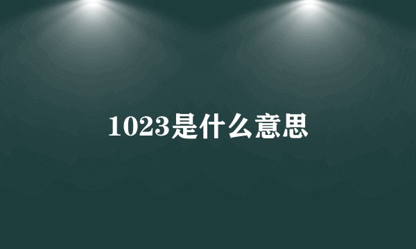 1023是什么意思