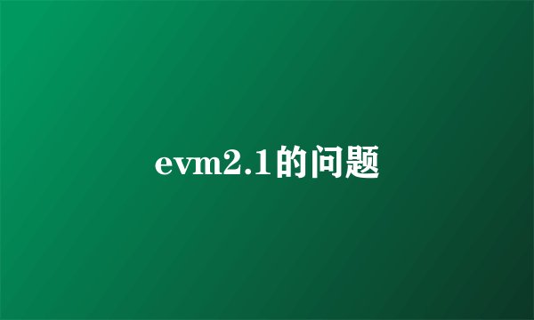 evm2.1的问题