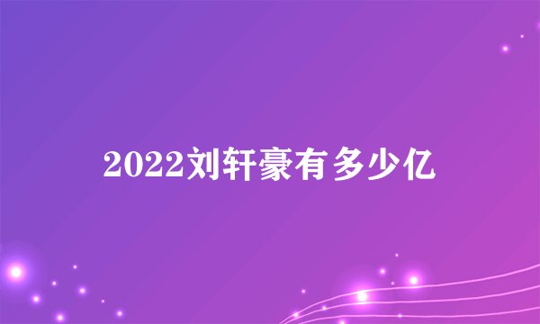 2022刘轩豪有多少亿