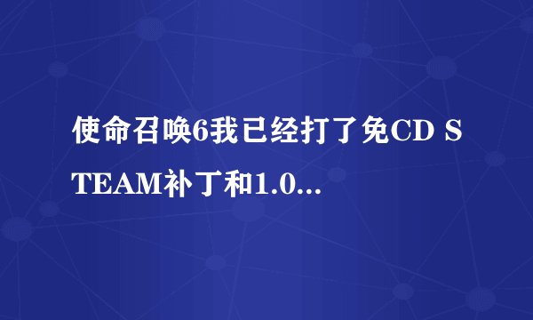 使命召唤6我已经打了免CD STEAM补丁和1.0.175多人对战补丁，为什么找不到SteamInstall.msi？
