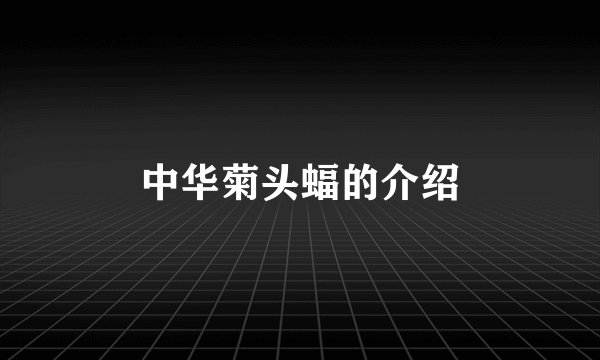 中华菊头蝠的介绍